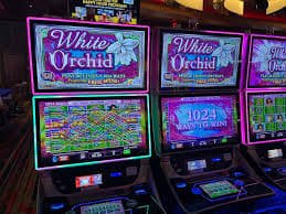 377bet পোকার গাইডের মোবাইল বিন্যাস